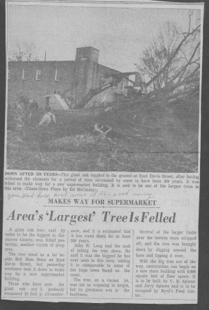 Oldest tree removed for new Food Center        photo credit:  (TDTN Burl,NC)